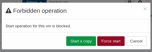 The force start confirmation, shown when starting a protected replica