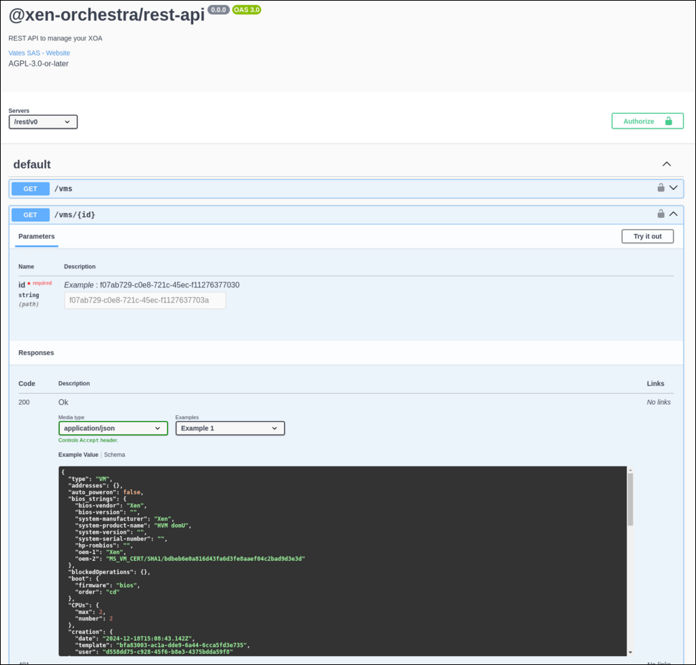 The Swagger UI documenting the VM endpoints, with the full VM schema and a Try it out button